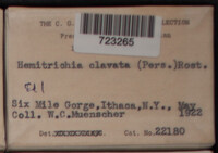 Image Associated With the Occurence